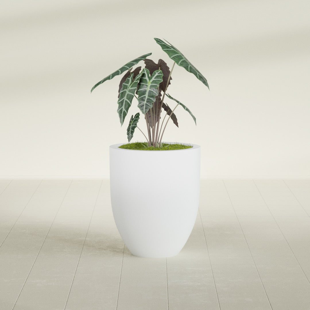 Valencia Medium Round Fiberglass Planter - 20 in x 20 in x 23 in - Gloss White - Gloss White,20 in x 20 in x 23 in