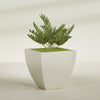 Lima Large Tapered Square Fiberglass Planter - 30 in x 30 in x 30 in - Satin Beige - Satin Beige,30 in x 30 in x 30 in
