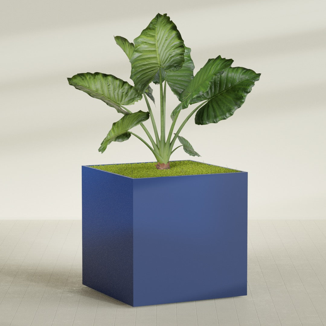 Montroy Extra Large Cube Square Fiberglass Planter - 60 in x 60 in x 60 in - Matte Cobalt Blue - Matte Cobalt Blue,60 in x 60 in x 60 in