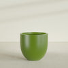 Alzira Large Round Fiberglass Planter - 36 in x 36 in x 34 in - Satin Green - Satin Green,36 in x 36 in x 34 in
