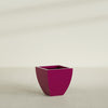 Lima Medium Tapered Square Fiberglass Planter - 20 in x 20 in x 20 in - Gloss Eggplant - Gloss Eggplant,20 in x 20 in x 20 in