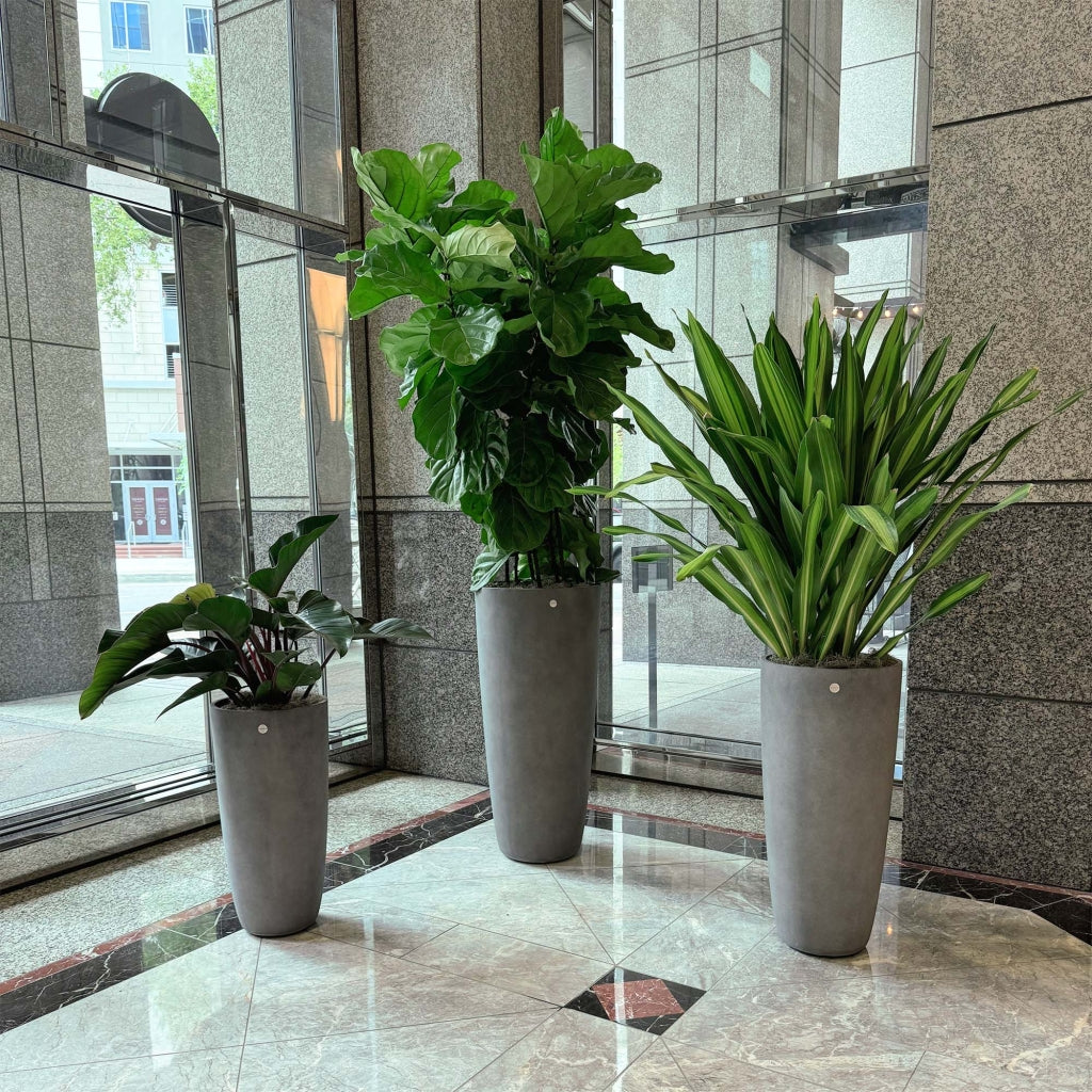 Lofto Tall Planter – Brown Stone Finish – Fiberglass Indoor/Outdoor and Weather-Resistant Large Planter (14.5" D x 30.5" H Exterior, 13.4" D x 30.3" H Interior) - Brown Stone,14.5 in x 14.5 in x 30.5 in - Brown Stone,14.6 in diam. x 30.5 in - Brown S - Brown Stone,14.6 in diam. x 30.5 in