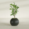 Globe Medium Sphere Fiberglass Planter - 24 in x 24 in x 19 in - Matte Charcoal - Matte Charcoal,24 in x 24 in x 20 in