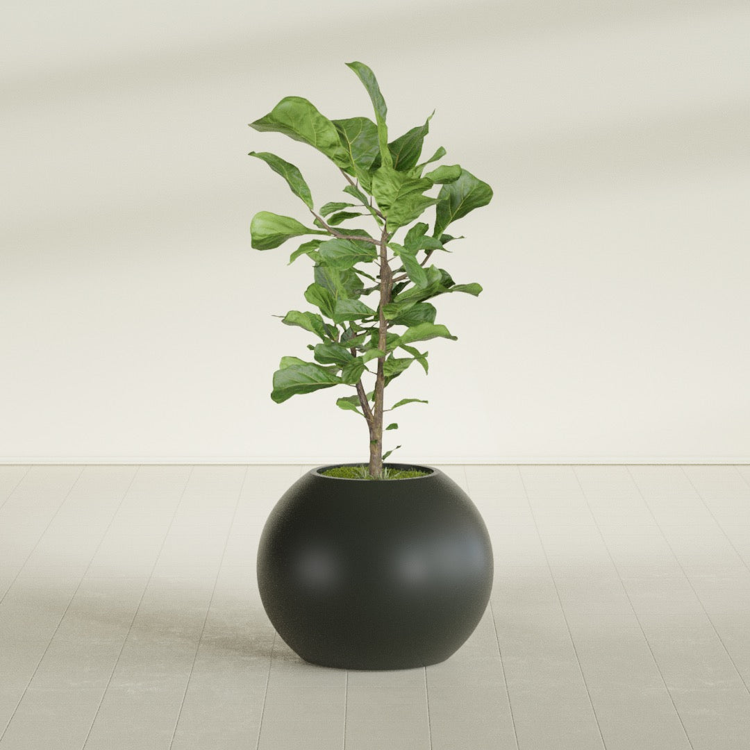Globe Medium Sphere Fiberglass Planter - 24 in x 24 in x 19 in - Matte Charcoal - Matte Charcoal,24 in x 24 in x 20 in