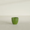 Wannsee Medium Round Fiberglass Planter - 22 in x 22 in x 19 in - Satin Green - Satin Green,22 in x 22 in x 19 in