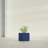 Monaco Square - 7in x 7in x 7 - Matte Cobalt Blue - Matte Cobalt Blue,7 in x 7 in x 7 in