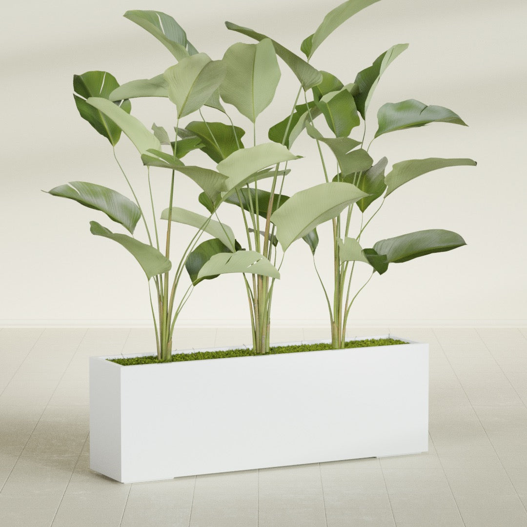 Tolga Extra Large Long Rectangle Fiberglass Planter - 72 in x 16 in x 24 in - Matte White - Matte White,72 in x 16 in x 24 in