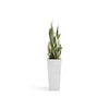 Rotterdam High Medium Square Planter - 12.6 in x 12.6 in x 27.5 in - Pure White - Pure White,12.5 in x 12.5 in x 27.5 in,Planter Only