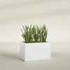 Granada Large Rectangle Fiberglass Planter - 36 in x 24 in x 24 in - Matte White - Matte White,36 in x 24 in x 24 in