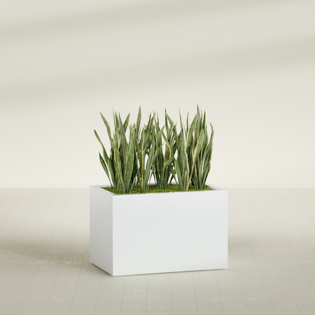 Granada Large Rectangle Fiberglass Planter - 36 in x 24 in x 24 in - Matte White - Matte White,36 in x 24 in x 24 in