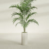 Corry Medium Tall Cylinder Fiberglass Planter - 10 in x 10 in x 20 in - Satin Beige - Satin Beige,10 in x 10 in x 20 in
