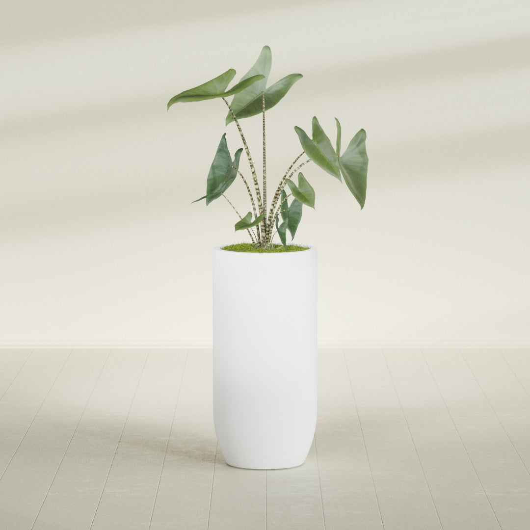 Saint Tropez Extra Large Tall Round Fiberglass Planter - 24 in x 24 in x 50 in - Gloss White - Gloss White,24 in x 24 in x 50 in
