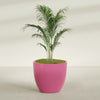 Wannsee Large Round Fiberglass Planter - 44 in x 44 in x 39 in - Gloss Pink Violet - Gloss Pink Violet,44 in x 44 in x 39 in