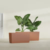 Panama Large Long Rectangle Fiberglass Planter - 36 in x 12 in x 18 in - Matte Terracotta - Matte Terracotta,36 in x 12 in x 18 in