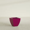 Lima Small Tapered Square Fiberglass Planter - 16 in x 16 in x 16 in - Gloss Eggplant - Gloss Eggplant,16 in x 16 in x 16 in