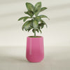Tall Hayden Medium Round Fiberglass Planter - 15 in x 15 in x 23 in - Gloss Pink Violet - Gloss Pink Violet,15 in x 15 in x 23 in