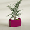 Seoul Large Curved Abstract Fiberglass Planter - 36 in x 16 in x 24 in - Gloss Eggplant - Gloss Eggplant,36 in x 16 in x 24 in