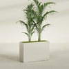 Potsdam Extra Large Long Rectangle Fiberglass Planter - 48 in x 16 in x 32 in - Satin Beige - Satin Beige,48 in x 16 in x 32 in