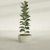 Casablanca Medium Round Low Bowl Fiberglass Planter - 20 in x 20 in x 10 in - Satin Beige - Satin Beige,20 in x 20 in x 10 in