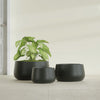 Short Hayden Small Round Fiberglass Planter - 12 in x 12 in x 7 in - Matte Charcoal - Matte Charcoal,12 in x 12 in x 7 in