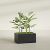 Torino Large Wide Rectangle Fiberglass Planter - 36 in x 24 in x 18 in - Matte Black - Matte Black,36 in x 24 in x 18 in