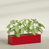 Reade Small Tabletop Rectangle Fiberglass Planter - 18 in x 6.5 in x 5 in - Gloss Red - Gloss Red,18.5 in x 6.5 in x 5 in