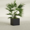 Montroy Medium Cube Square Fiberglass Planter - 24 in x 24 in x 24 in - Matte Black - Matte Black,24 in x 24 in x 24 in