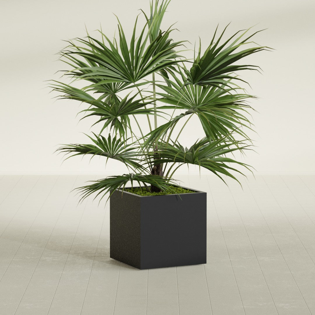 Montroy Medium Cube Square Fiberglass Planter - 24 in x 24 in x 24 in - Matte Black - Matte Black,24 in x 24 in x 24 in