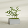Torino Large Wide Rectangle Fiberglass Planter - 36 in x 24 in x 18 in - Metallic Silver - Metallic Silver,36 in x 24 in x 18 in