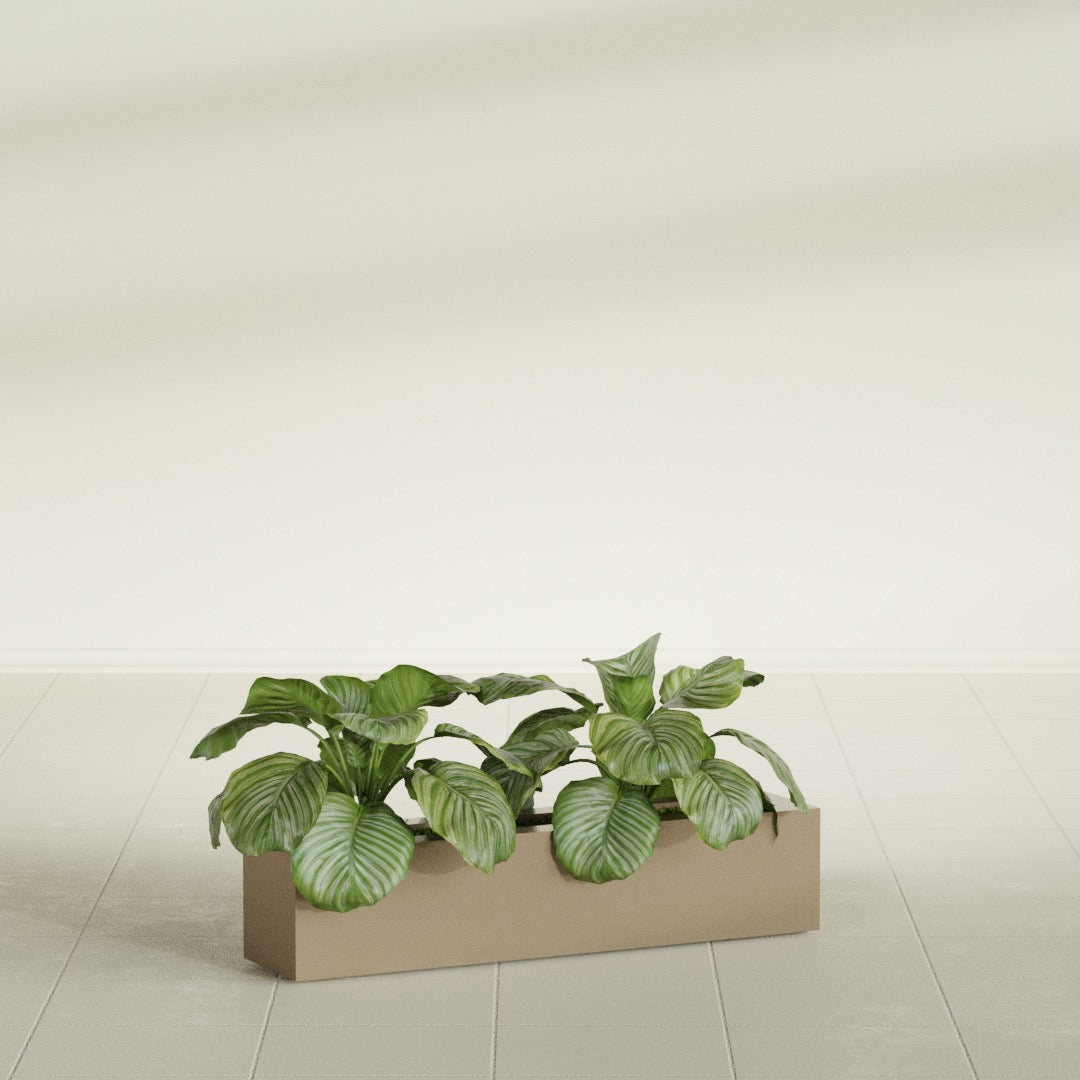 Salon Large Tall Rectangle Fiberglass Planter - 36 in x 8 in x 8 in - Metallic Gold - Metallic Gold,36 in x 8 in x 8 in