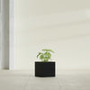 Monaco Square - 7in x 7in x 7 - Matte Black - Matte Black,7 in x 7 in x 7 in