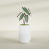 Tall Hayden Medium Round Fiberglass Planter - 12 in x 12 in x 20 in - Gloss White - Gloss White,12 in x 12 in x 20 in