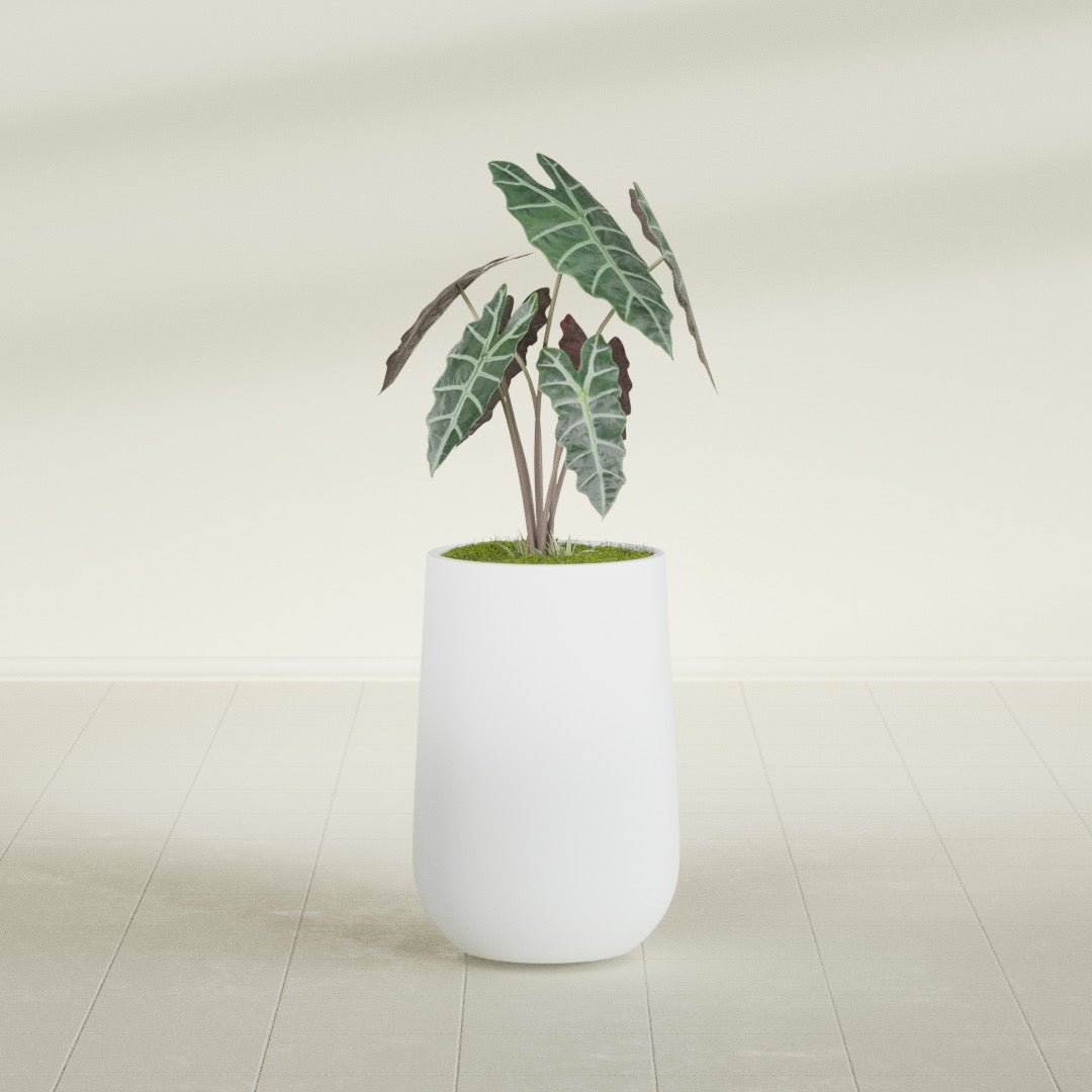 Tall Hayden Medium Round Fiberglass Planter - 12 in x 12 in x 20 in - Gloss White - Gloss White,12 in x 12 in x 20 in
