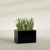 Granada Large Rectangle Fiberglass Planter - 36 in x 24 in x 24 in - Gloss Black - Gloss Black,36 in x 24 in x 24 in