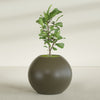 Globe Large Sphere Fiberglass Planter - 36 in x 36 in x 30 in - Matte Bronze - Matte Bronze,36 in x 36 in x 30 in