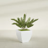 Lima Medium Tapered Square Fiberglass Planter - 20 in x 20 in x 20 in - Matte White - Matte White,20 in x 20 in x 20 in