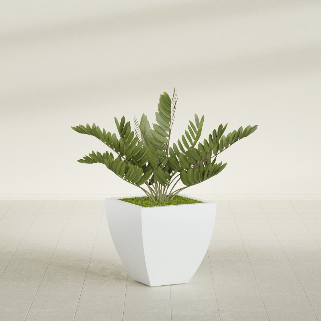 Lima Medium Tapered Square Fiberglass Planter - 20 in x 20 in x 20 in - Matte White - Matte White,20 in x 20 in x 20 in