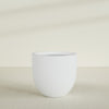 Alzira Large Round Fiberglass Planter - 36 in x 36 in x 34 in - Gloss White - Gloss White,36 in x 36 in x 34 in