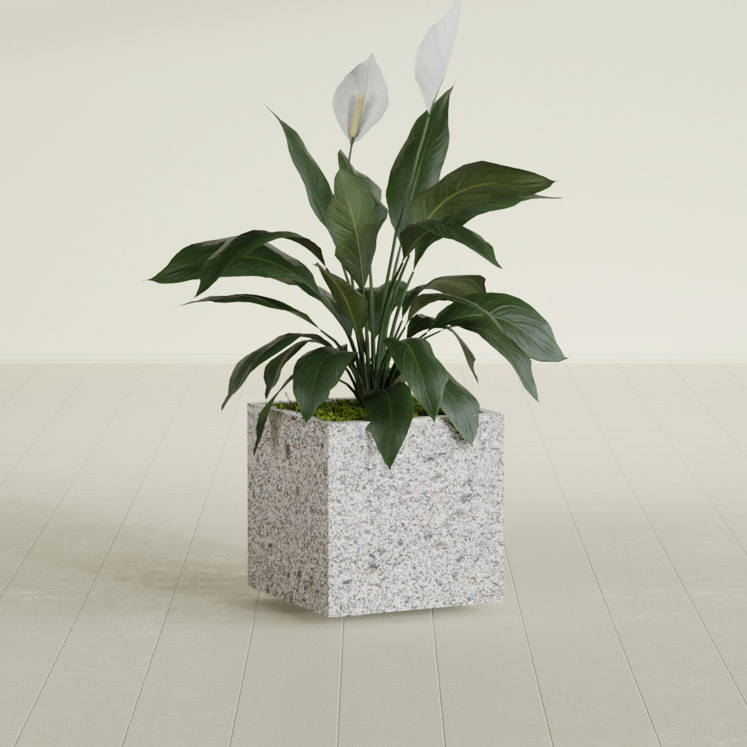 Cube - 20in x 20in x 20in - StoneLight - Greystone - StoneLight - Greystone,20 in x 20 in x 20 in
