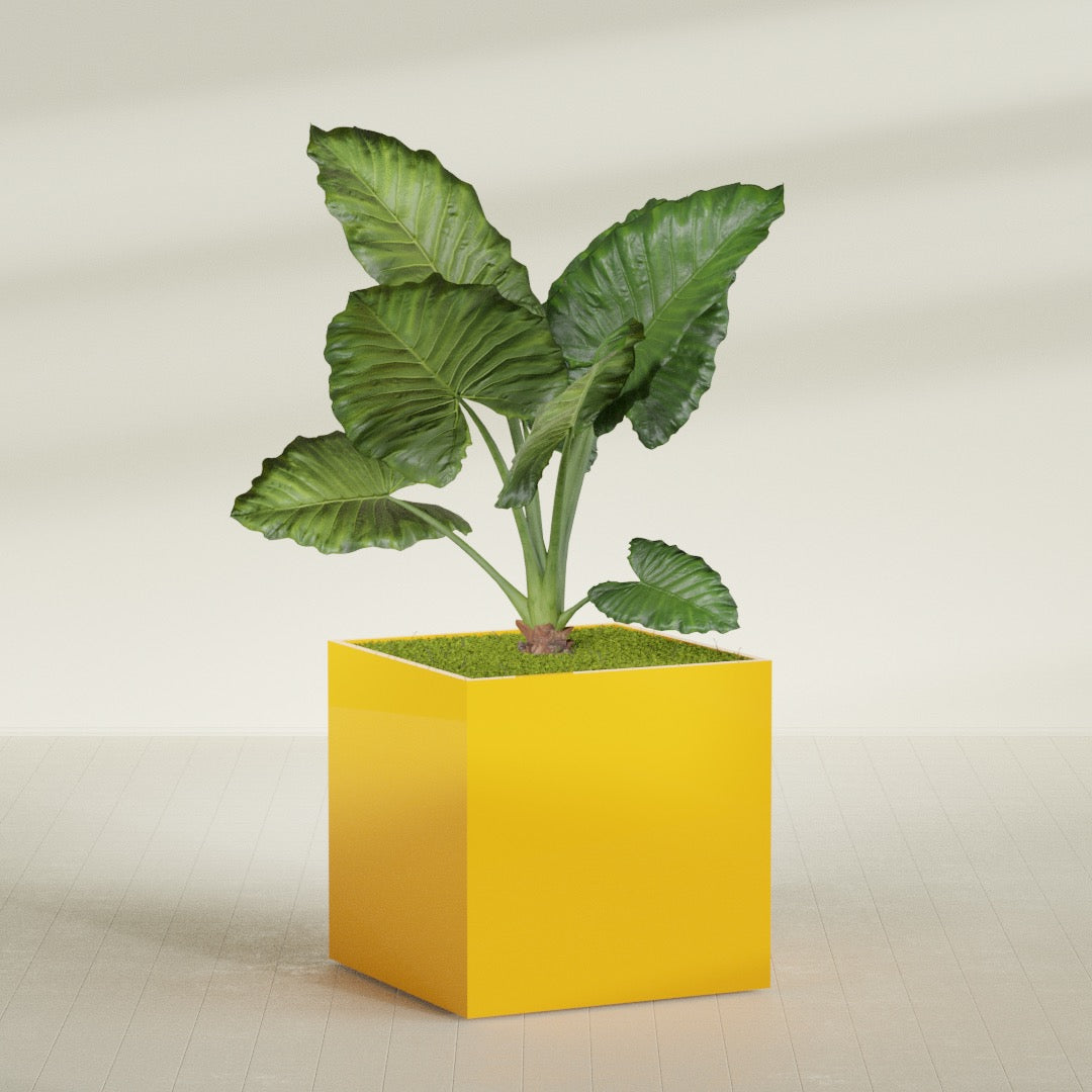 Montroy Extra Large Cube Square Fiberglass Planter - 48 in x 48 in x 48 in - Gloss Saffron - Gloss Saffron,48 in x 48 in x 48 in