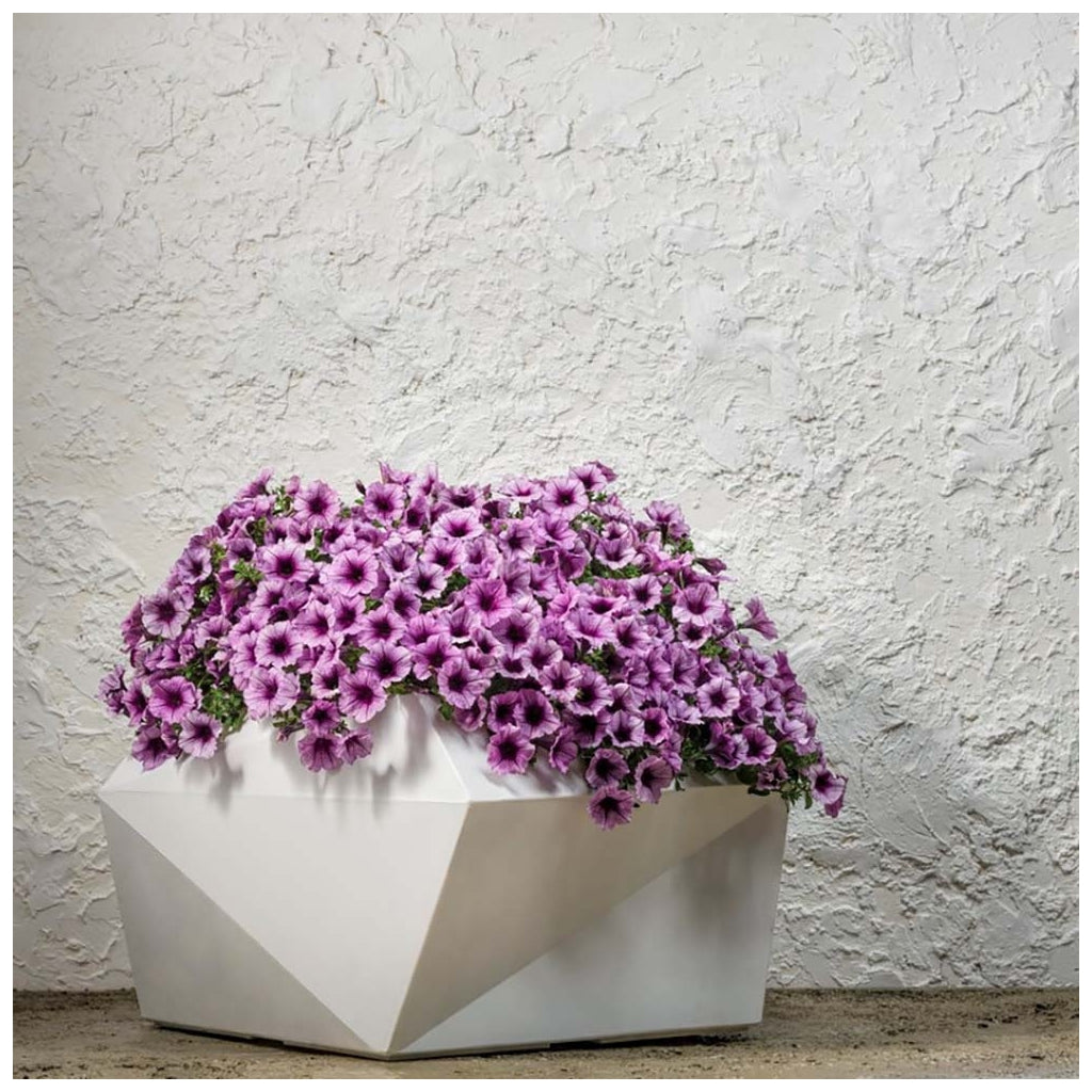 Origami - 25.8in x 25.8in x 25in