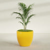 Wannsee Large Round Fiberglass Planter - 44 in x 44 in x 39 in - Gloss Saffron - Gloss Saffron,44 in x 44 in x 39 in