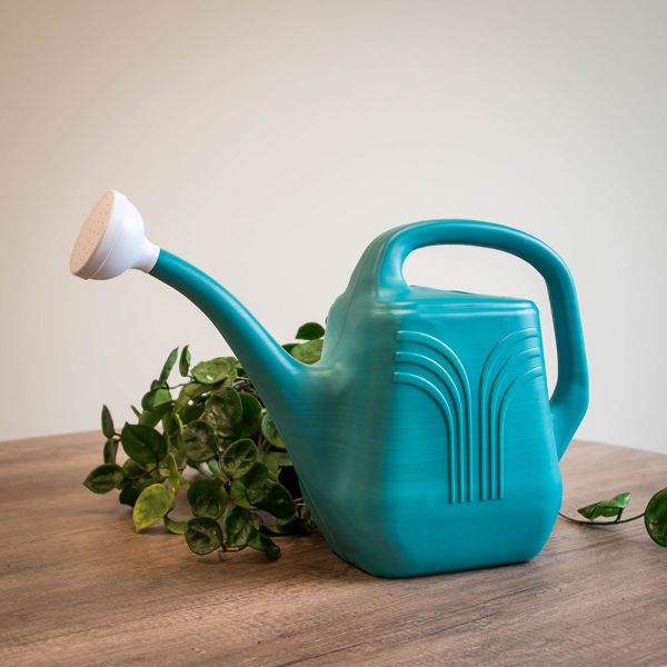 Watering Can Image