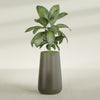 Saigon Extra Large Tapered Round Planter - 19 in x 24 in x 42 in - Matte Bronze - Matte Bronze,19.2 in x 24.2 in x 42 in