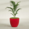 Wannsee Large Round Fiberglass Planter - 39 in x 39 in x 34 in - Gloss Red - Gloss Red,39 in x 39 in x 34 in