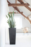 Rotterdam Medium Tall Square Planter - 12.6 in x 12.6 in x 27.5 in - Dark Grey - Dark Grey,12.5 in x 12.5 in x 27.5 in,Planter Only