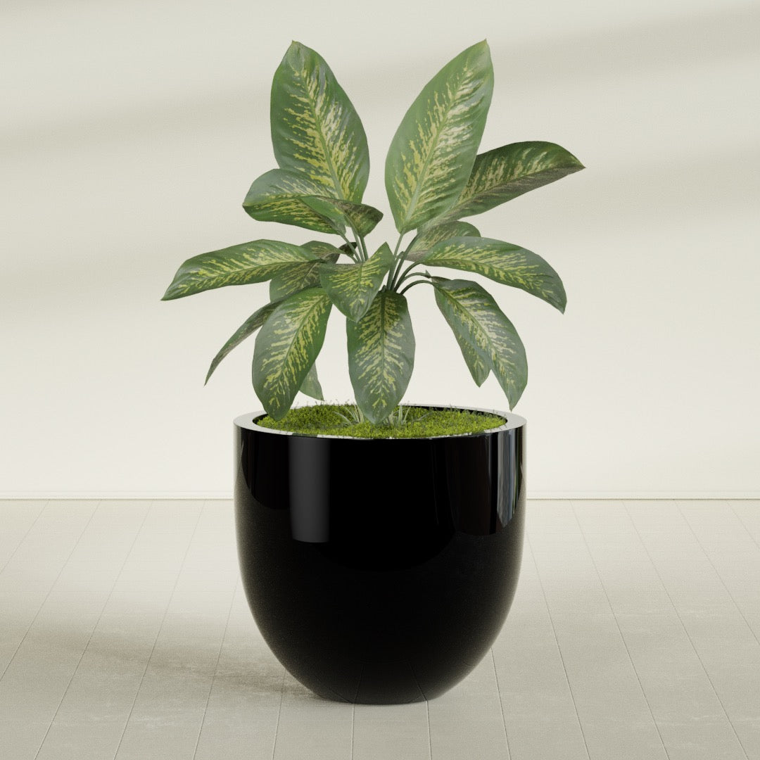 Alzira Large Round Fiberglass Planter - 36 in x 36 in x 34 in - Gloss Black - Gloss Black,36 in x 36 in x 34 in
