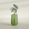 Tall Hayden Medium Round Fiberglass Planter - 12 in x 12 in x 20 in - Satin Green - Satin Green,12 in x 12 in x 20 in