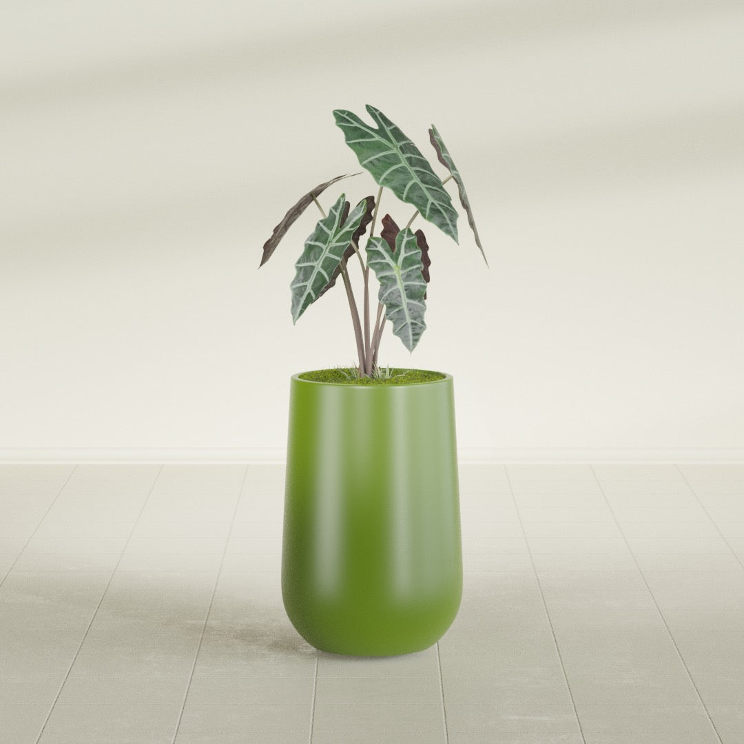 Tall Hayden Medium Round Fiberglass Planter - 12 in x 12 in x 20 in - Satin Green - Satin Green,12 in x 12 in x 20 in