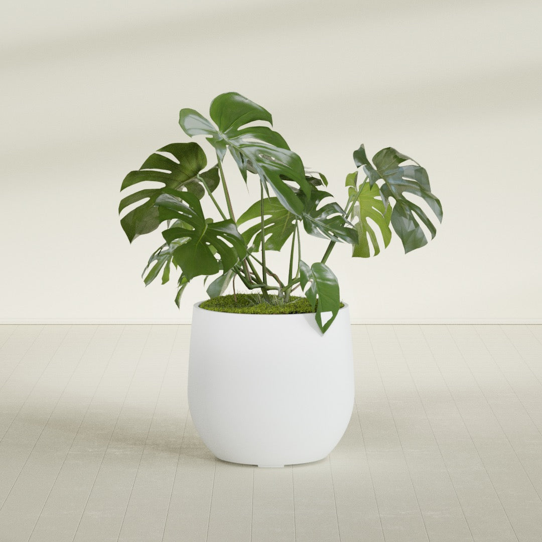 Westfield - 27in diam. x 25in - Gloss White - Gloss White,27 in diam. x 25 in H